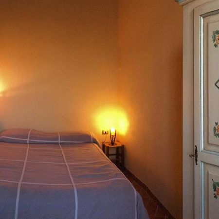 Agriturismo Terre Di Musignano Canino Kültér fotó