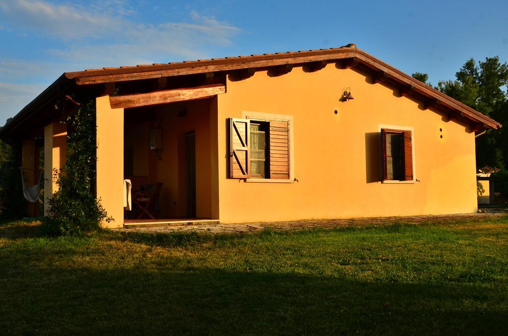 Agriturismo Terre Di Musignano Canino Szoba fotó