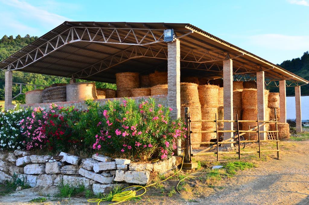 Agriturismo Terre Di Musignano Canino Szoba fotó
