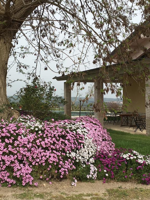 Agriturismo Terre Di Musignano Canino Kültér fotó