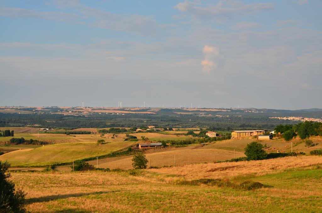 Agriturismo Terre Di Musignano Canino Kültér fotó